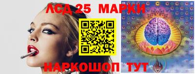 гашик Новокубанск