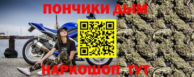 гашик Новокубанск