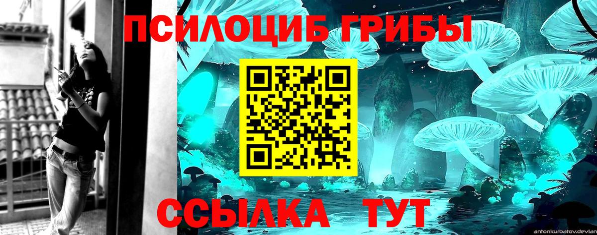 Галлюциногенные грибы Psilocybe Туапсе