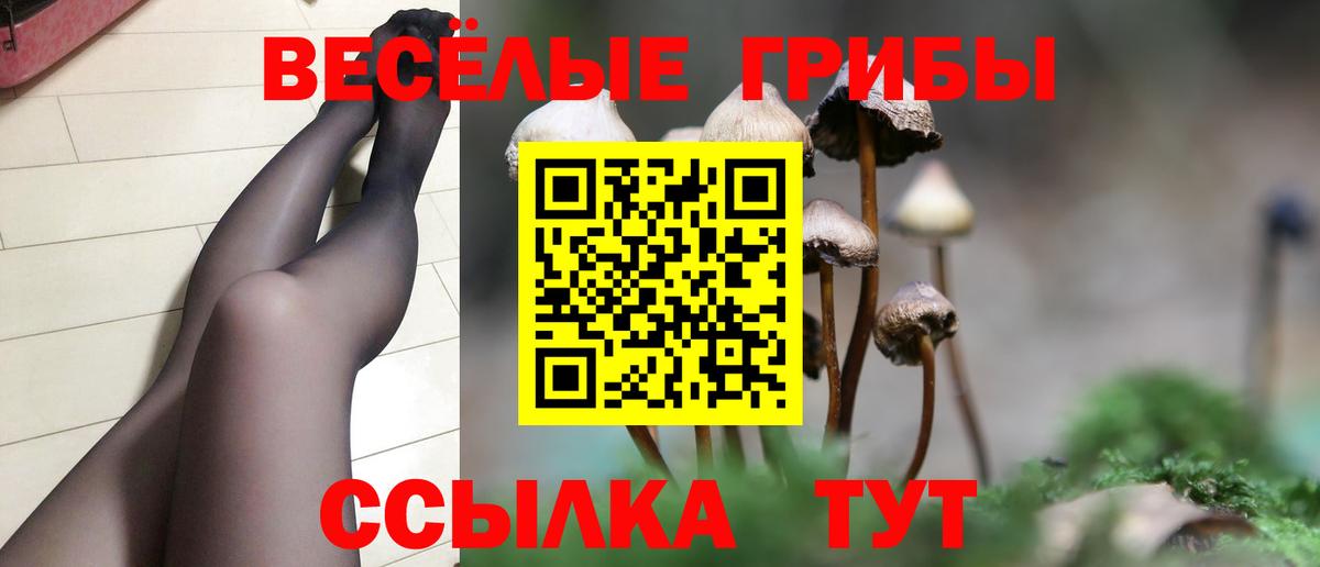 Псилоцибиновые грибы Cubensis  Вход с VPN  Туапсе 